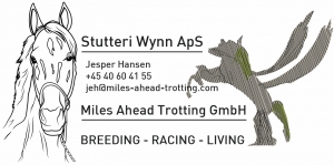 Stutteri Wynn