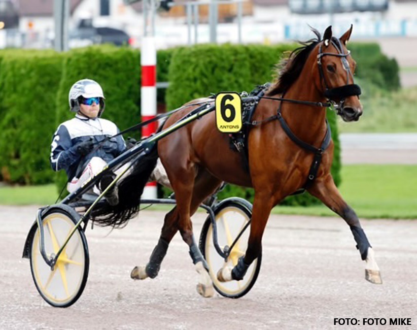 LillyWynn-20250911-1